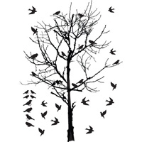 Birds in Trees