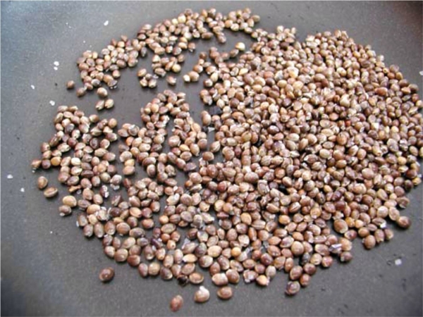 Hemp Seeds