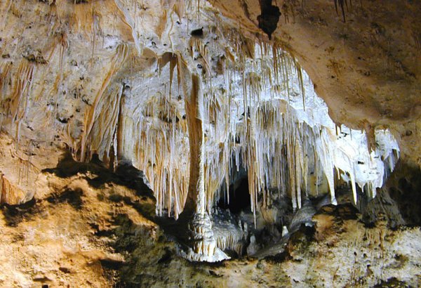 Going Batty at Carlsbad Caverns National Park