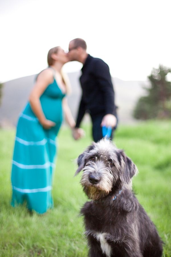 Organic Pregnancy Shoot