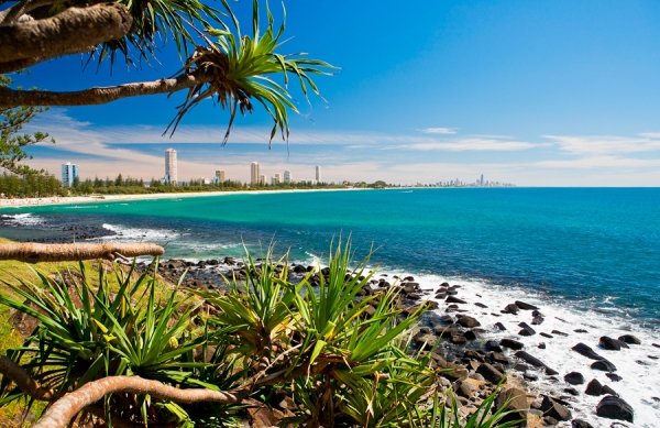 Surfing at Burleigh Heads Beach