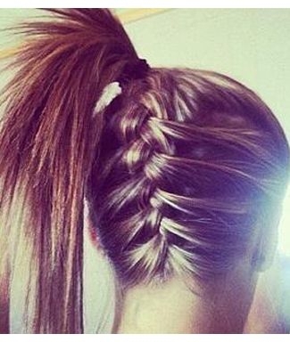 Upside-down Braid/pony