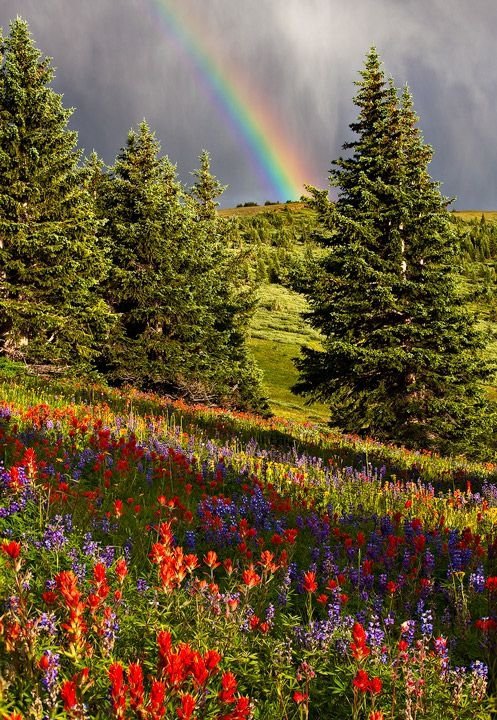 Shrine Ridge, Colorado