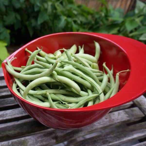 All Varieties of Peas and Beans