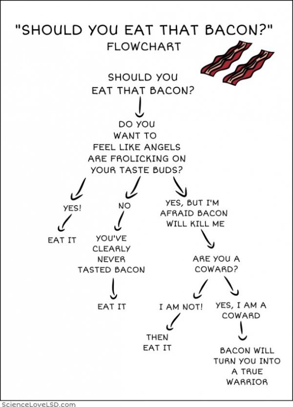 Should You Eat That Bacon? 1