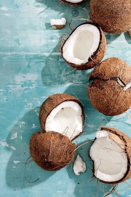 Coconut