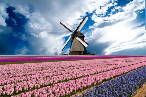 Netherlands