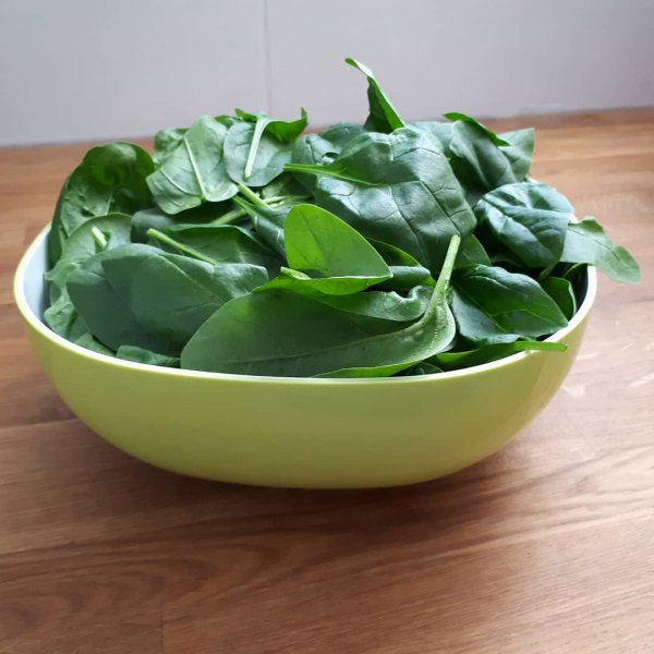 spinach, leaf vegetable, flowerpot, vegetable, vegetarian food,