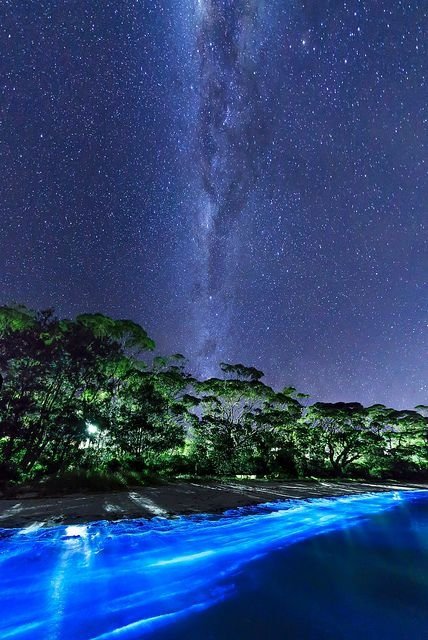 Two Amazing Light Sources, Vincentia, New South Wales