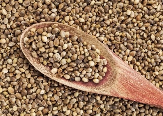 Hemp Seeds