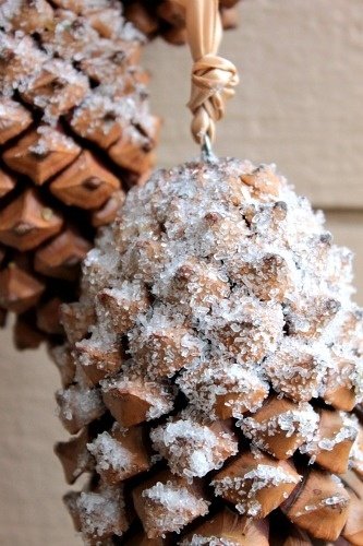 Frosty Pine Cones