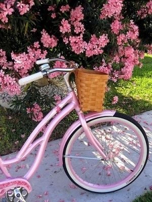 Pink Bicycle