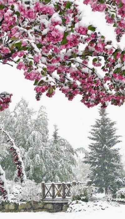 Calgary, Canada