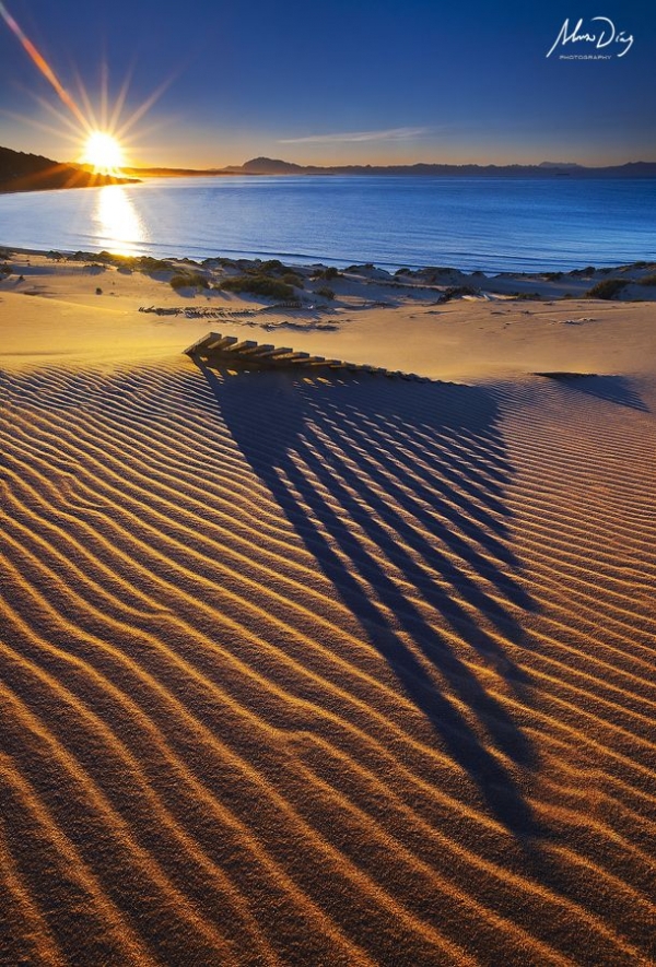 Playa De Bolonia, Tarifa