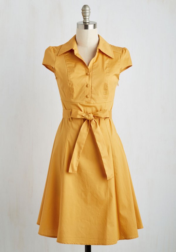 A Classic Shirt-dress