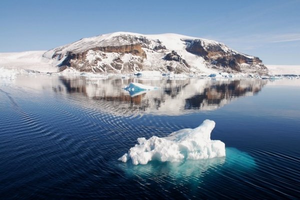 Do as the Gentoo Penguins do on Brown Bluff, Antarctica