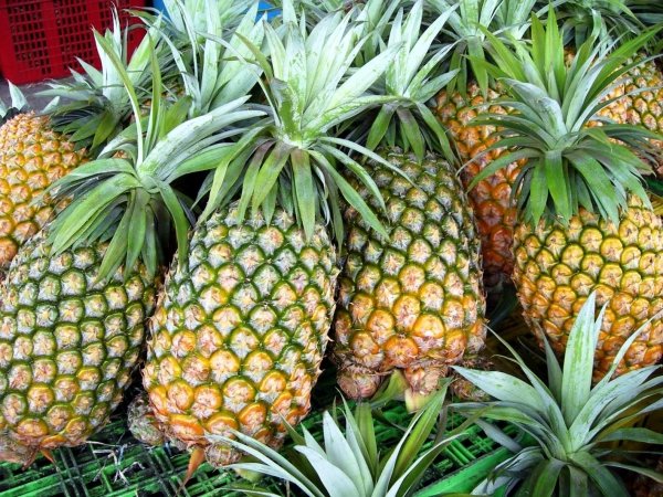 Pineapple