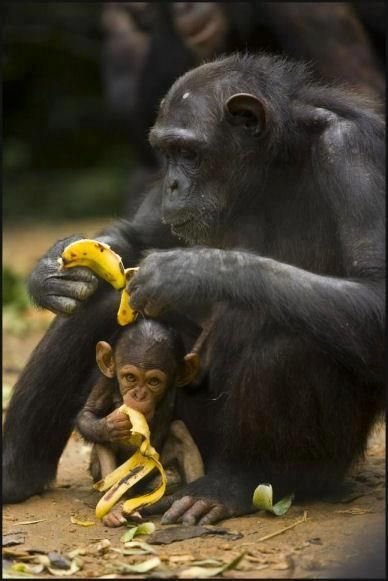 Snack Time