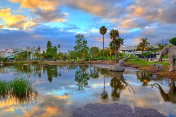 The La Brea Tar Pits