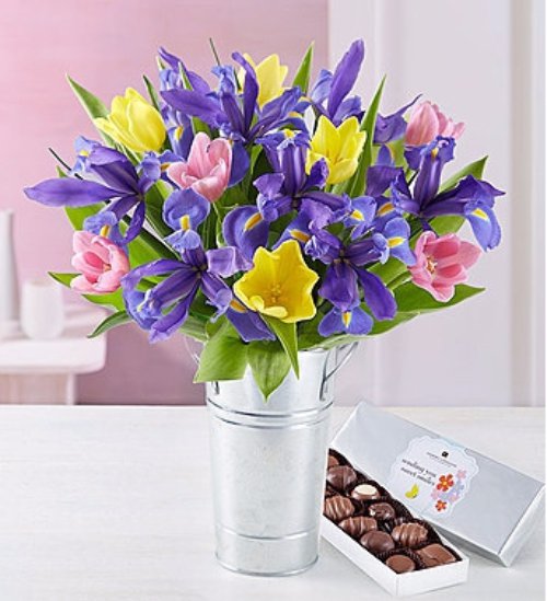 flower,cut flowers,plant,flower bouquet,land plant,