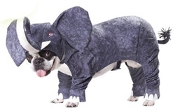 Elephant Dog Costumes