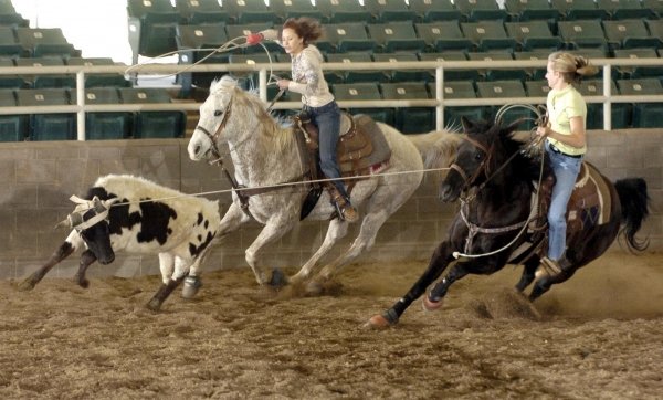 Horsing around at Kentucky State Fair