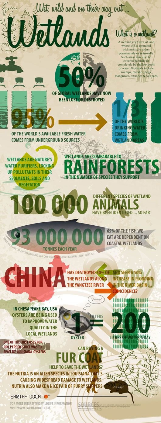 Infographics to Help You Better Understand Environmental Issues in the ...