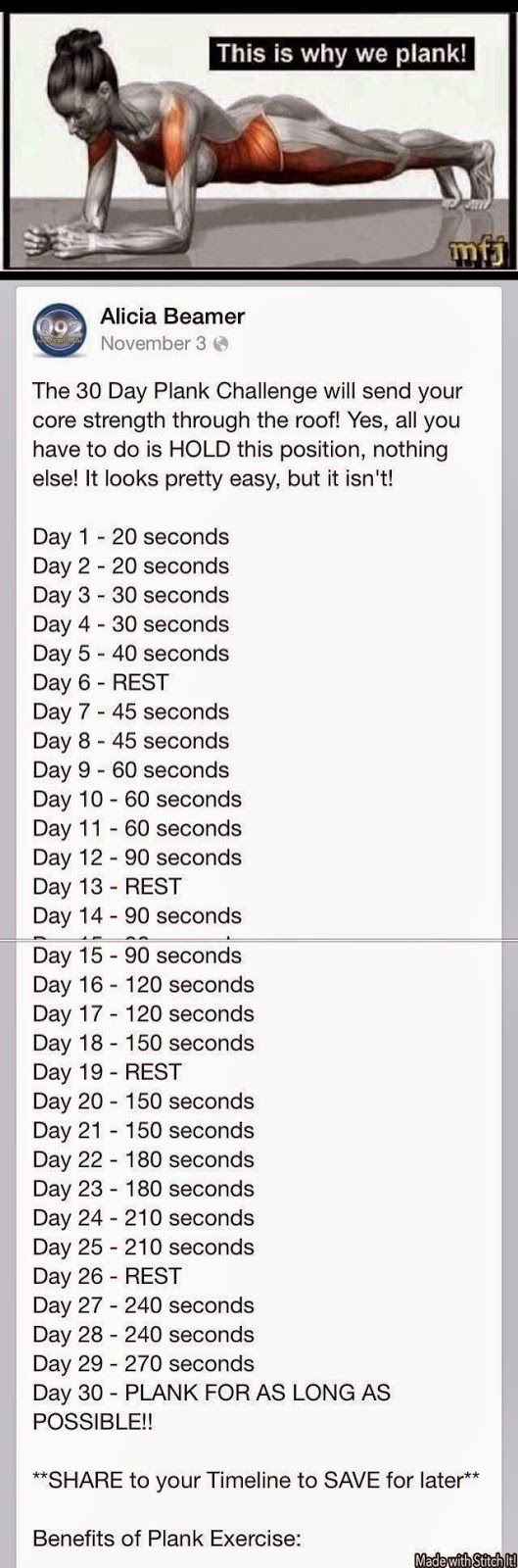 This is Why We Plank! 30 Day Challenge