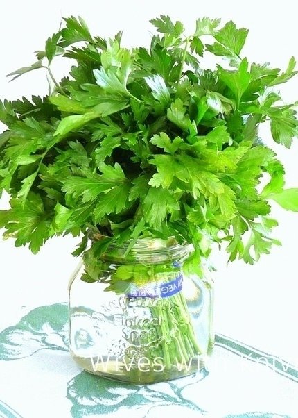 Parsley