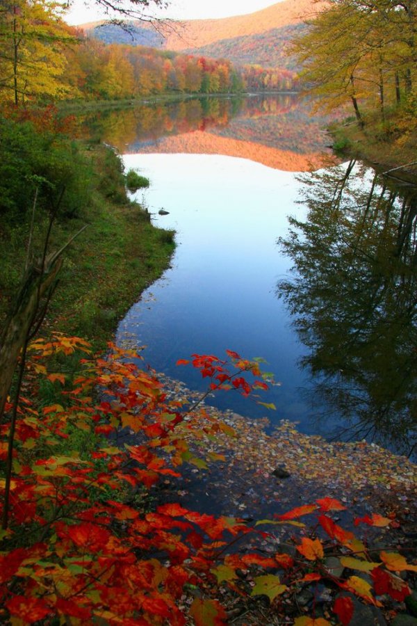 Take a Walk in the Catskill Mountains, USA