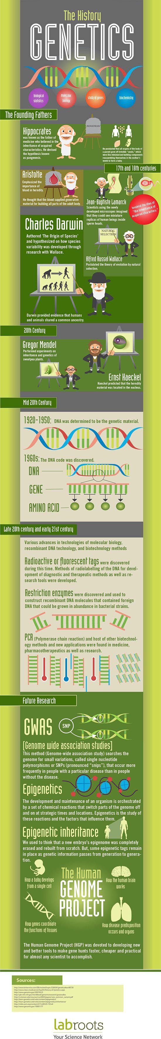 The History of Genetics