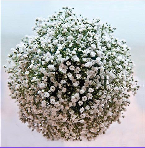 How to Make a Fresh Baby's Breath Flower Ball