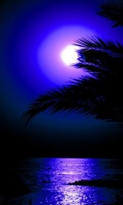 Deep Purple Moonlight