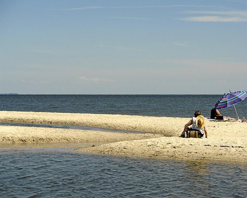 Meet the Shell Ancestors at Flag Ponds Nature Park, Lusby, Maryland