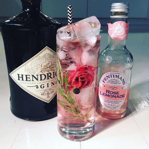 drink, liqueur, distilled beverage, alcoholic beverage, gin and tonic,