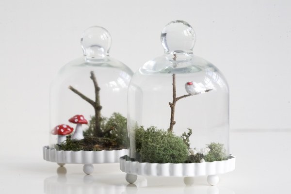 Woodland Terrarium