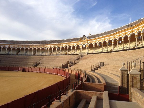 bullring,structure,geographical feature,sport venue,amphitheatre,