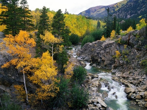 Roaring Fork River