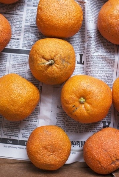 Mandarin Oranges