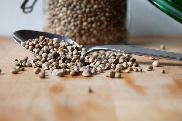 Hemp Seeds