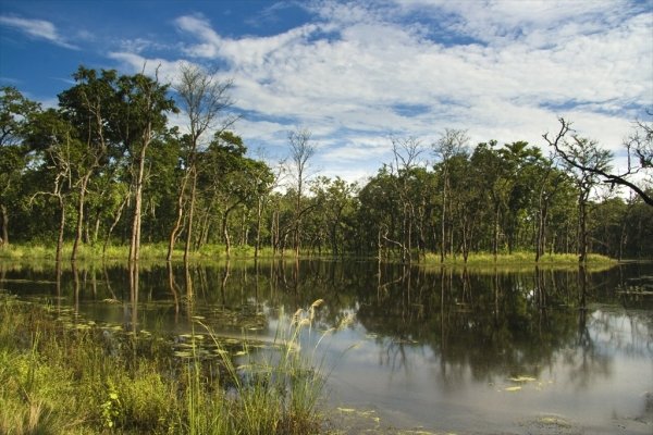 The Chitwan National Park