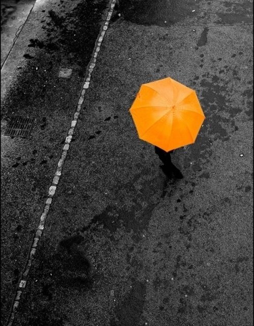 Orange Umbrella