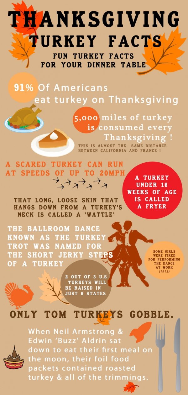 Turkey Facts