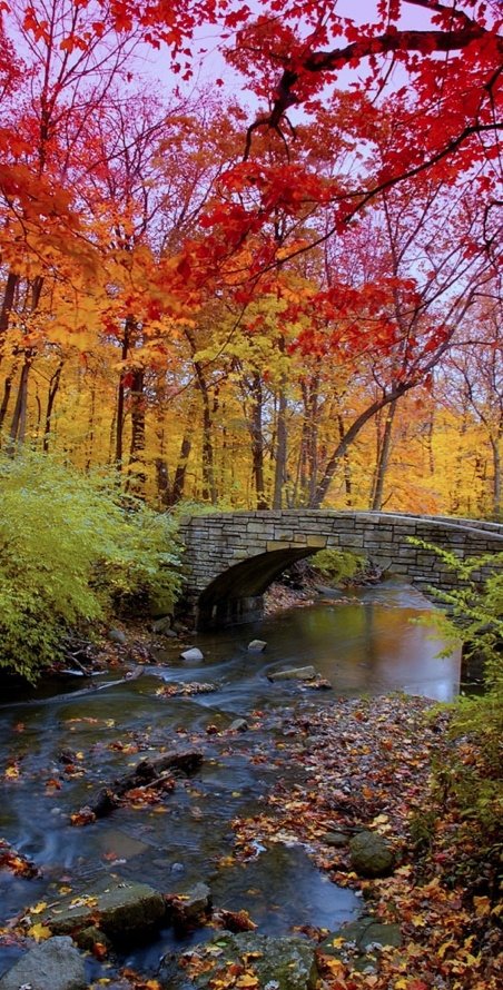 Autumn Colors near Corvallis, Oregon