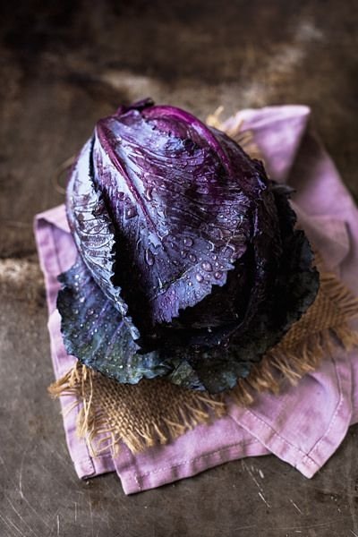 Purple Cabbage