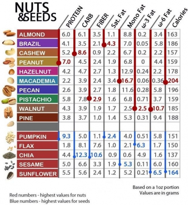 Nuts + Seeds Nutrition