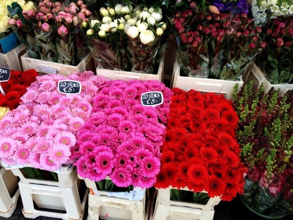 Bloemenmarkt, the Netherlands