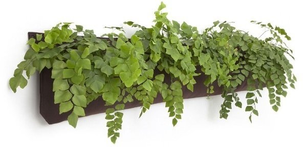 Living Wall Planter