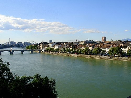 The Rhine River