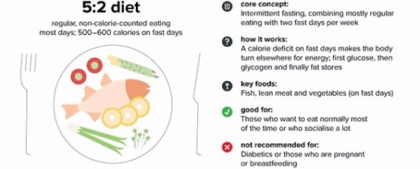 5:2 Diet